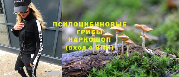 прущая мука Алексин
