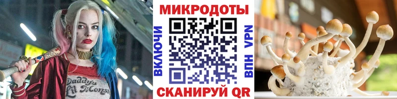 наркошоп Лениногорск Псилоцибиновые грибы Psilocybine cubensis